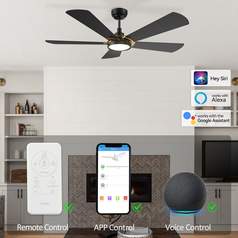Ventilateur de plafond extérieur noir avec lumière, H 14,3 po x l 56 po
