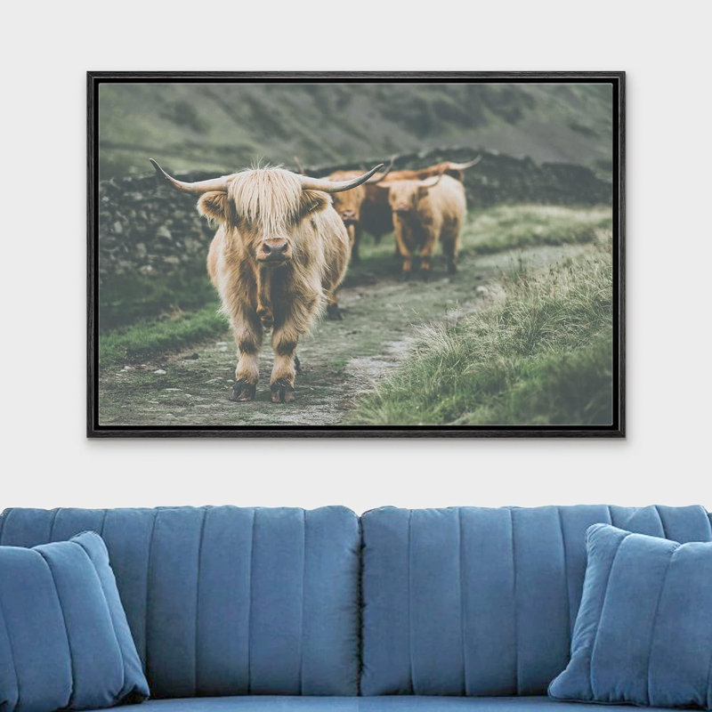 Animaux lavés en Écosse Highland Country Cow, H 16 po x l 24 po x P 1,5 po, Cadre noir