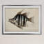 «Vintage Fish Study II», reproduction d'art graphique encadrée-348531228-348531296