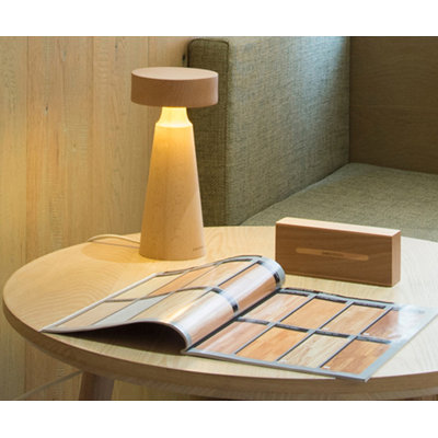 Lampe de bureau à DEL 15 po