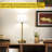 Trishanna 15.7“ LED Dimmable Table Lamp,Cordless Table Lamp with Touch Control,Gold Metal Table Lamp
