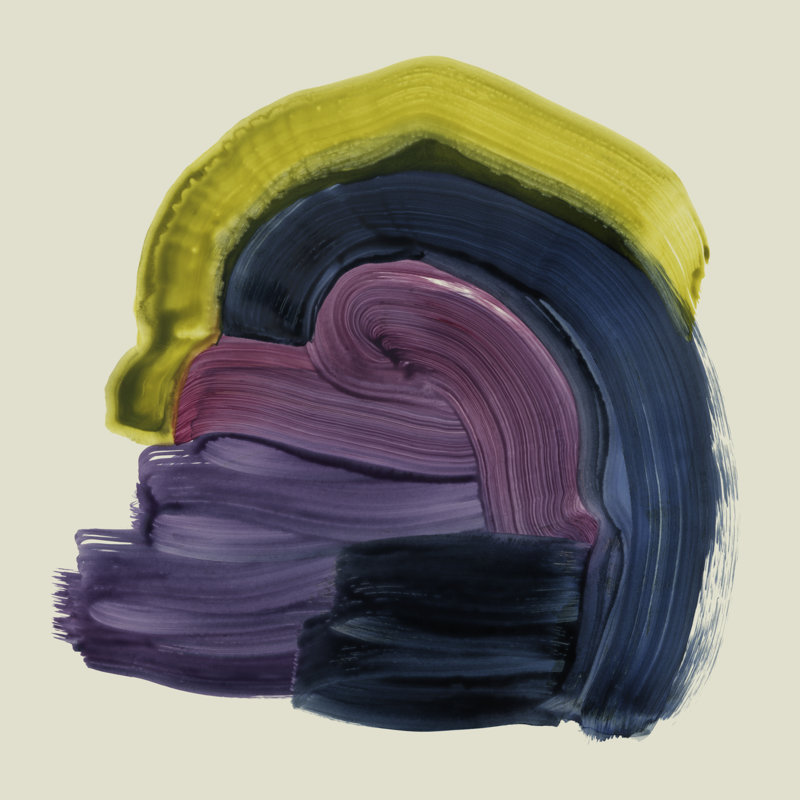 Abstract Mollusk I by Grace Popp - Wrapped Canvas Print, 30.48cm H x 30.48cm W x 3.8cm D