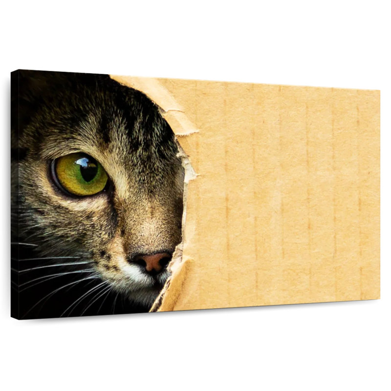 Hole Peeking Cat, 34" H x 51" W