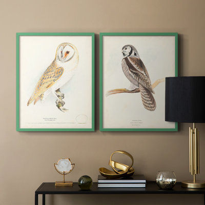 Barn Owl-Premium Framed Print -Ready to Hang - No Nails Required - No Nails Required