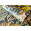 Harldson Mo'orea Inspired Flowers And Birds 8.5 m x 70cm Wallpaper Roll-1211186368