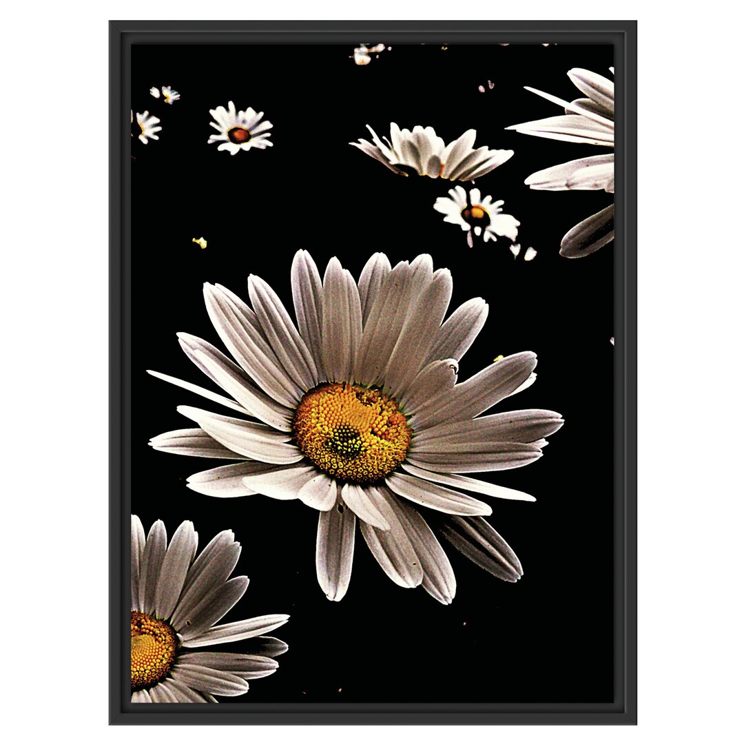 Gerahmtes Wandbild Dark Margeriten Blüten