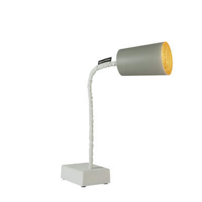 Adjustable Metal Desk Lamp