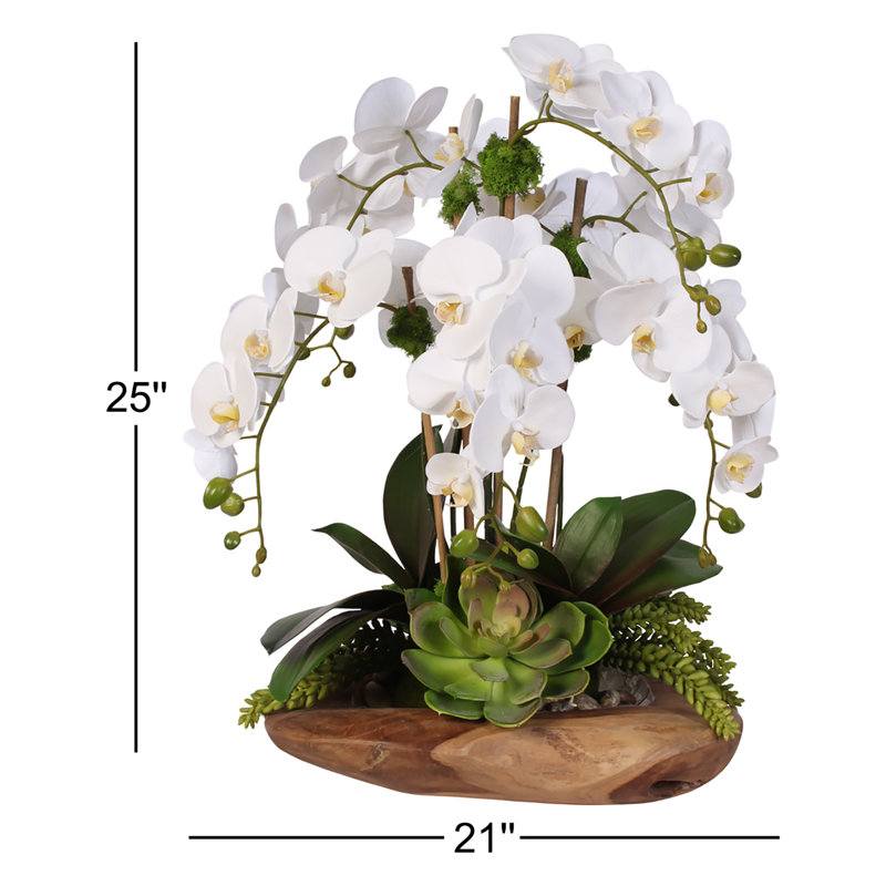 Real Touch 6-Stem Phalaenopsis Silk Orchids with Succulents Floral Arrangement
