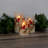 Battery Operated LED Red Cardinals Hurricane Candles - 3 Count