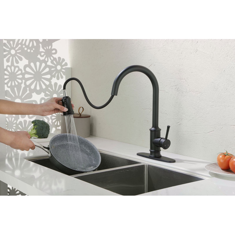 Kitchen Faucet With Pull Out Spraye, Matte Black