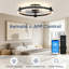 Ceiling Fan