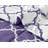 5 Piece Comforter set Reversible Down Alternative Comforter Duvet Insert-1479753447-1589169041