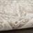 Charlton Home® Dionigia Ivory Mocha Vintage Indoor Rug-1068606745