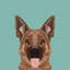 Berger allemand, impression sur toile tendue-19741807-74756195-74756196