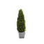 Faux Cypress Topiary in Terracotta Pot-255984083