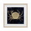 «Crab Contour over Map», reproduction encadrée sous verre, conception de Sasha-1795570144-1795570149