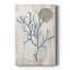 Varech III - Cavas enveloppés de galerie-1653573475