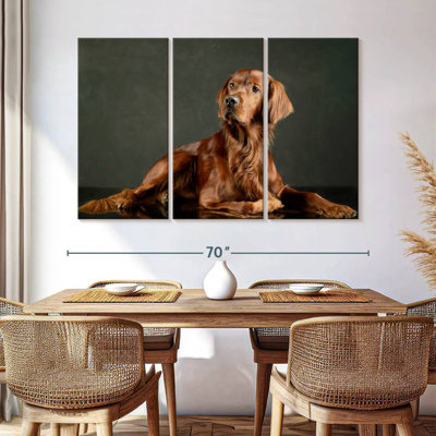 Loyal Irish Setter