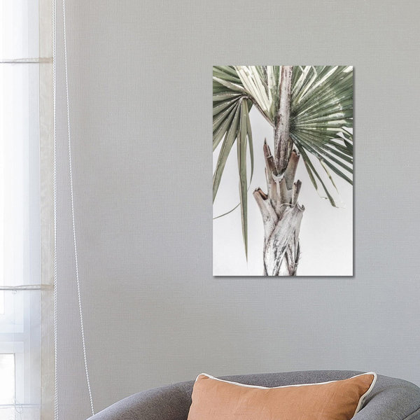 Bay Isle Home Palm Tree By Magda Izzard - Wrapped Canvas Graphic Art by ...