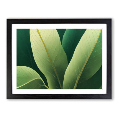 Amazing Leaf - Framed Print