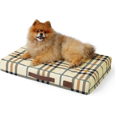Petit lit pour chien à motif pour petits chiens, tapis orthopédique extérieur imperméable en mousse pour œufs en mousse avec caisse amovible avec housse lavable amovible (24 po x 16 po, crème)
