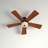 Maryville 52'' Ceiling Fan with LED Lights-26210098