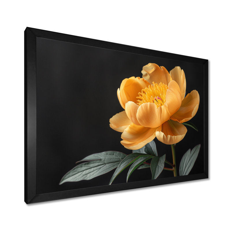 Pivoine moderne moderne monochrome - pivoines murales, salon, Toile encadrée noire simple, H 24 po x l 32 po x P 1 po