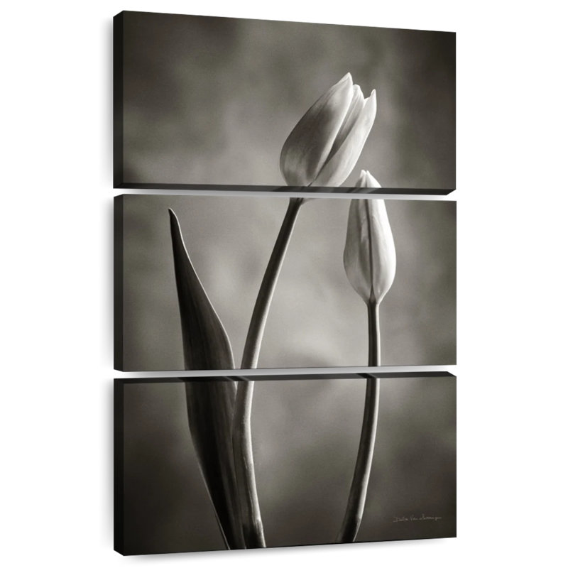 Tulipes Harnek à deux tons III, H 32 po x l 20 po