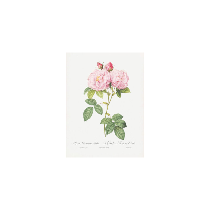 Wrapped Canvas Print, 76.2 cm H x 50.8 cm W