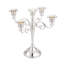 Iron Candelabra