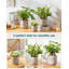 HDHPOT Ceramic Pot Planter-2100550268