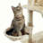 Chrisanne 69.3'' H Cat Tree-958242764