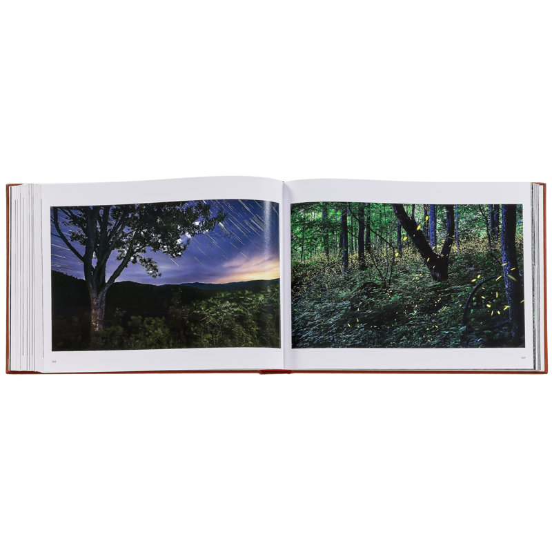 Graphic Image Treasured Lands, CoffeeTable Book, Leather, Tan
