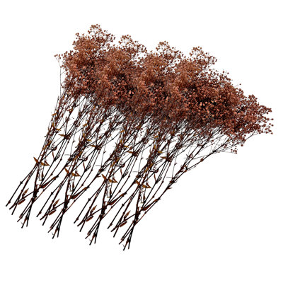 Dried Preserved Baby's Breath Stems