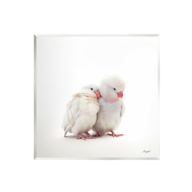 «White Love Birds On MDF» par Roozbeh