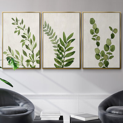 «Botanical Wash I», ensemble de 3 toiles encadrées