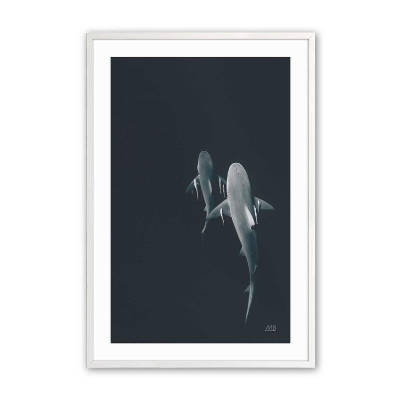 Serene Shark Shadows Print, 25" H x 19" W, White