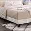 Ensemble de chambre à coucher 3 pièces, lit rembourré 3D moelleux avec deux tables de chevet-202584888