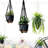 Plant Hangers with Pots and Saucers-2058980083