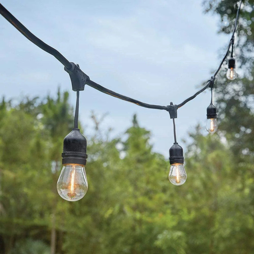 Herodias 48FT 24-Bulb Outdoor Standard String Light Shatterproof Linkable Arlmont & Co.
