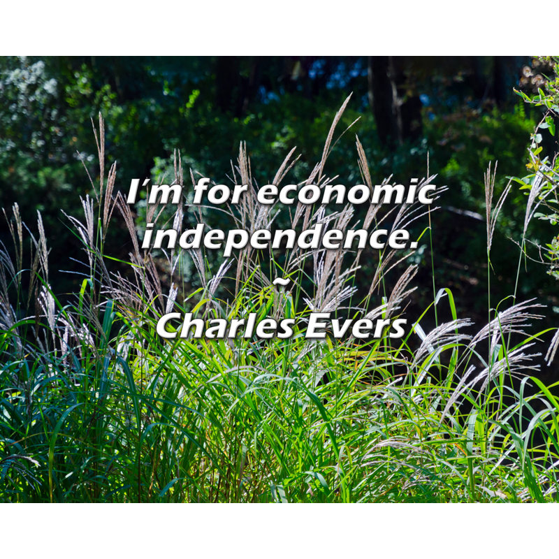 Citation de Charles Evers: Je suis pour l’indépendance économique., H 26 po x l 32 po