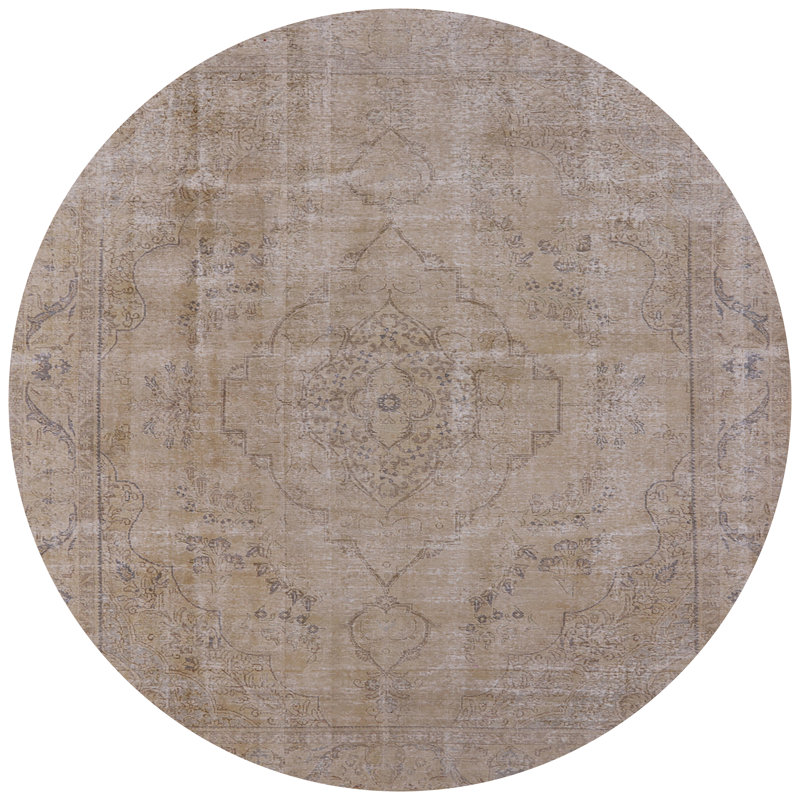 Sebrina Indoor Rug, Round 4'