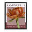 Cadre flottant Ranunculus Flower Market, design par Jennifer Stith-922894454-922894452