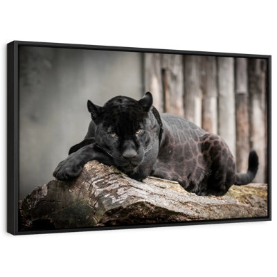 Animal «Lounging Black Panther», reproduction sur toile