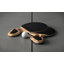 Ping Pong Coconut Table Tennis Paddle