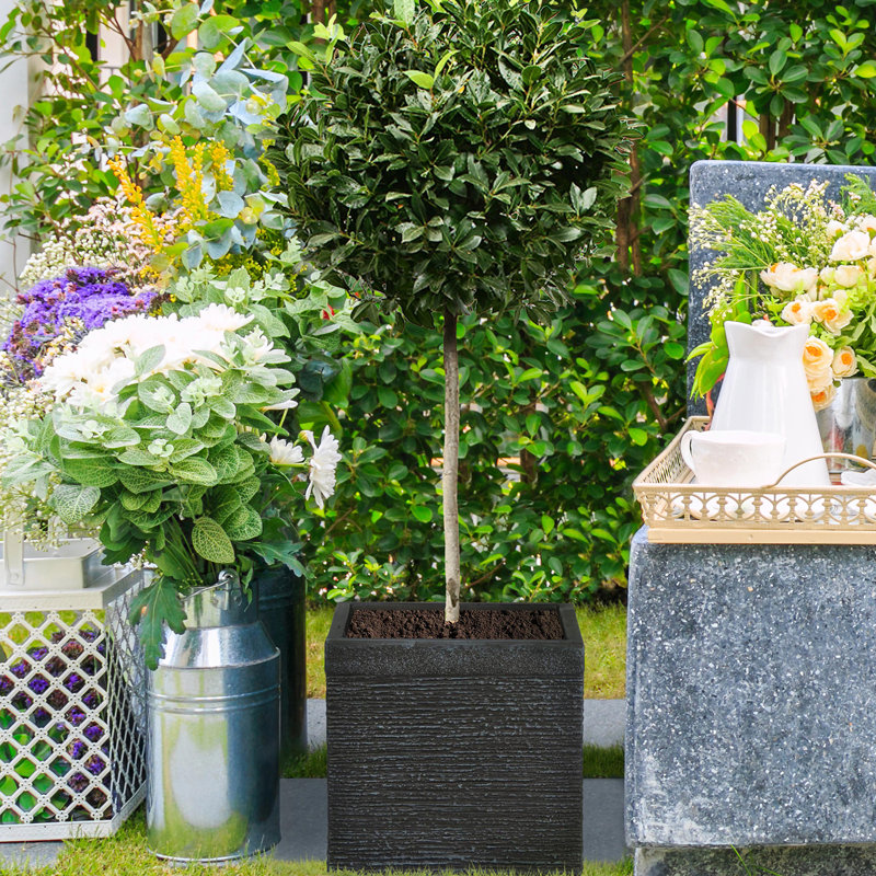 HORTICO Ribbed Light Concrete Square Planter, 28cm H x 30cm W x 30cm D, Black