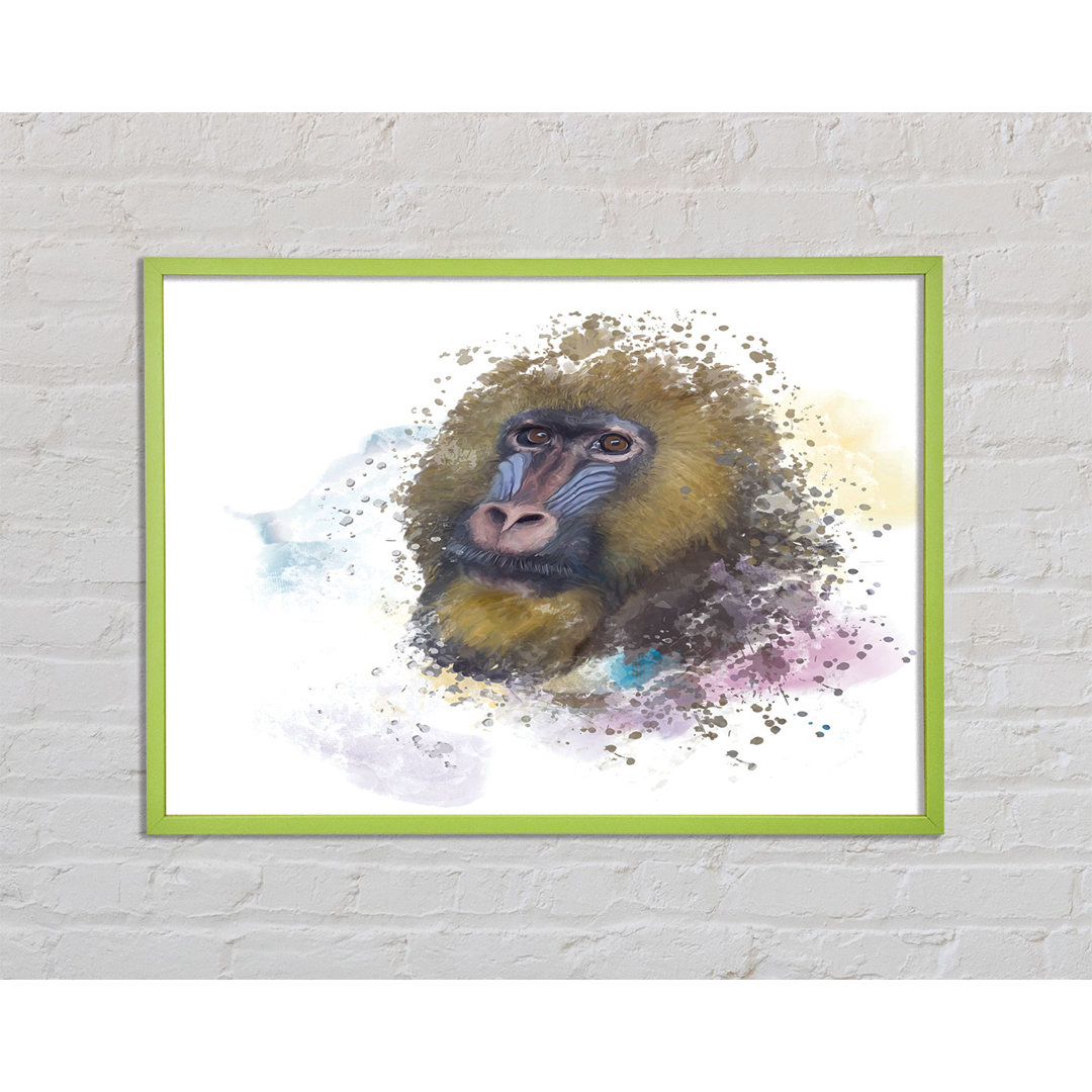 Wandbild Mandrill Splash