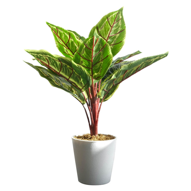 Ananias 38cm Faux Foliage Plant in Pot