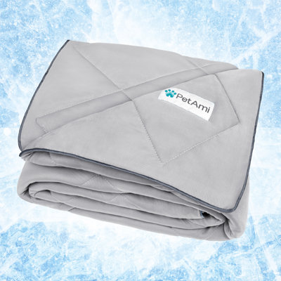 Outdoor Polyester Pet Blanket