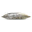 Brush Stroke Square Pillow Cover & Insert-93217701-93217718
